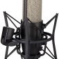 AKG Perception Professional Studio Microphone