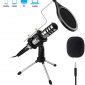 Recording Microphone, EIVOTOR 3.5mm Condenser Microphone Plug and Play