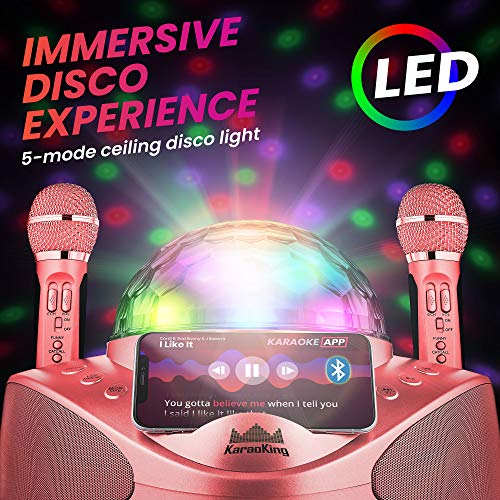 KaraoKing New 2020 Karaoke Machine - for Adults and Kids -2 Wireless Karaoke