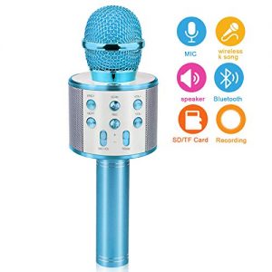 Gifts for 4 5 6 7 8 9 10 Year Old Kids, Touber Wireless Portable Handheld Karaoke