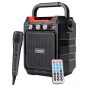 Portable PA System Bluetooth Speaker with Wired Microphone