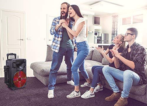 Portable PA Speaker with Recording Function and Wireless Microphones