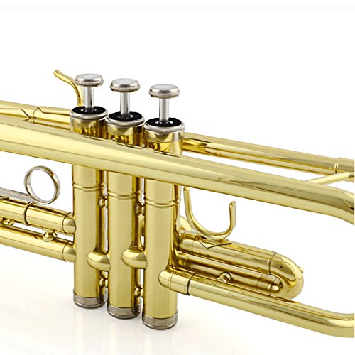 TRUMPET - Apelila Bb Key Brass Gold Lacquer with Care Case