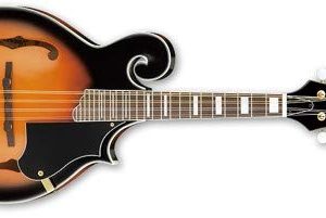 Ibanez F-Style Mandolin, Brown Sunburst High Gloss