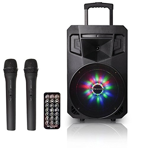 Portable PA Speaker with recording function, wireless microphones, and versatile connectivity, perfect for outdoor parties and karaoke nights