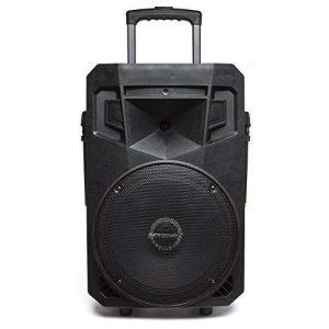 Portable PA Speaker with Recording Function and Wireless Microphones - Image 4