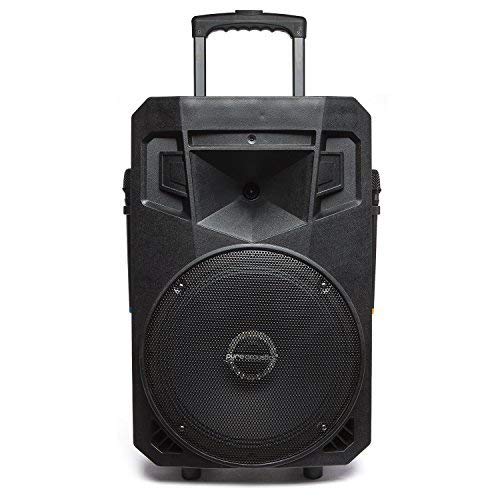 Portable PA Speaker with Recording Function and Wireless Microphones
