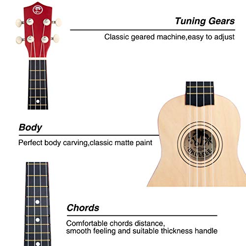 Soprano Basswood Ukulele 21inch Starter Kit for Beginner with Gig Bag