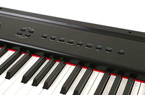 Artesia 88-Key Weighted Hammer Action Digital Piano with Sustain Pedal