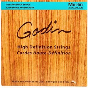 Seagull M4 Merlin Mahogany EQ Dulcimer - Your Melodic Journey Awaits - Image 4