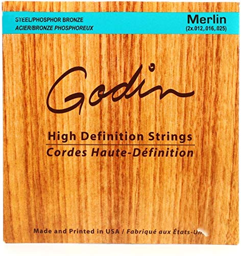Seagull M4 Merlin Mahogany EQ Dulcimer - Your Melodic Journey Awaits