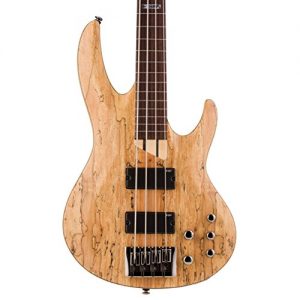 ESP LTD FL Spalted Maple Fretless Bass Guitar, Natural Satin