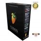 Image Line FL Studio 20 Producer Edition Mac/Windows includes Free Wireless