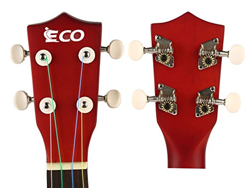 Soprano Ukulele Beginner Kit - 21 Inch w/How to play Songbook Carrying bag