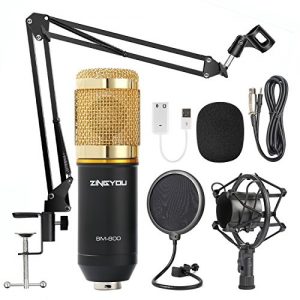 Professional-grade studio microphone kit with essential accessories for crystal-clear recordings
