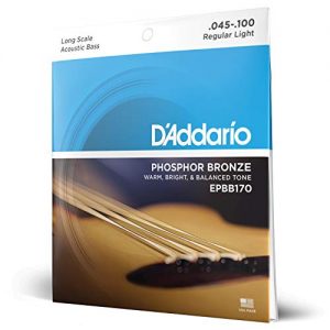 D'Addario Phosphor Bronze Acoustic Bass Strings, Long Scale