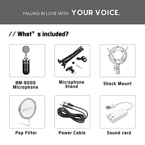 Professional Studio Condenser Microphone Kit – Complete XLR Bundle with Shock Mount, Pop Filter & Accessories
