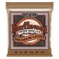 Ernie Ball Earthwood Medium Light Acoustic Phosphor Bronze String Set