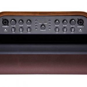 Fender Acoustic SFX Walnut - Acoustic Guitar Amplifier - Image 4
