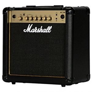 Marshall Amplifier Speaker