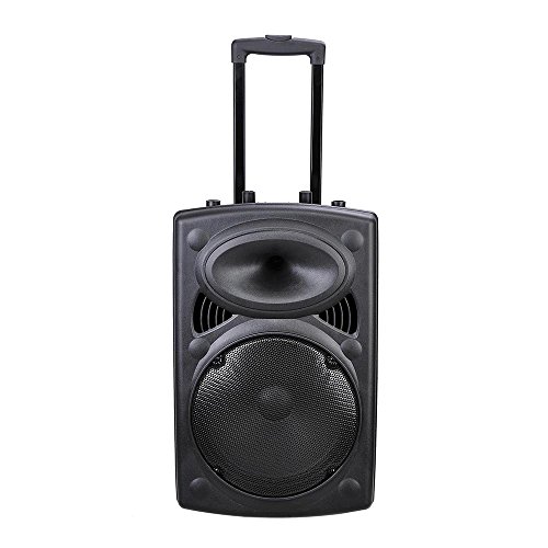 AW Portable 120W Active PA Speaker Mic Guitar AMP Bluetooth USB