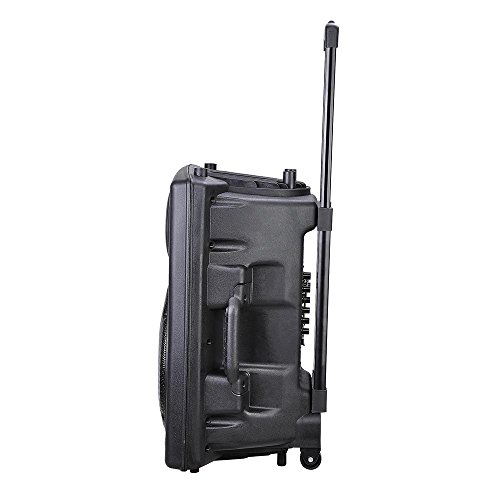 AW Portable 120W Active PA Speaker Mic Guitar AMP Bluetooth USB