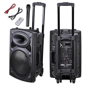 AW Portable 120W Active PA Speaker Mic Guitar AMP Bluetooth USB