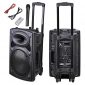 AW Portable 120W Active PA Speaker Mic Guitar AMP Bluetooth USB