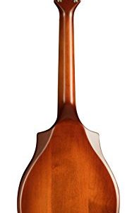 Seagull S8 Mandolin SG, Burnt Amber Burnt Umber - Image 8