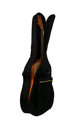 Tetra-Teknica TourPro Series, 41 Inch Foam Padded 600D Nylon Guitar