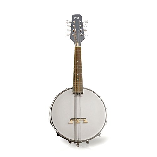 Mandolin String Instrument w/White Jade Tuner Pegs