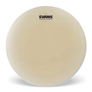 Evans Strata Series Timpani Drum Head, 29 inch
