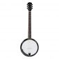 Exquisite Professional Banjo with Allen Wrench