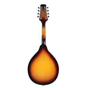 Elegant Mandolin Rosewood with Guard Board Sunset - Image 3