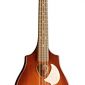 Seagull S8 Mandolin SG, Burnt Amber Burnt Umber