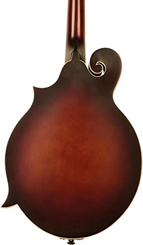 The Loar LM-310F-BRB Honey Creek F-Style Mandolin