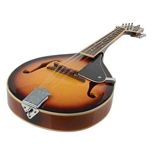 Elegant Mandolin Rosewood with Guard Board Sunset