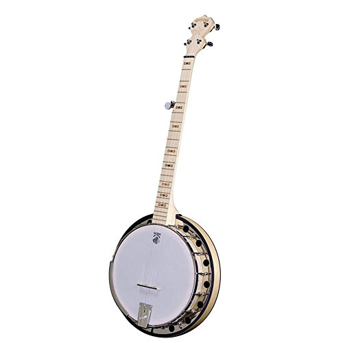 Deering Goodtime 2 Resonator Banjo with Hard Case