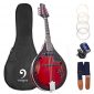 Mandolin A Style Acoustic Electric