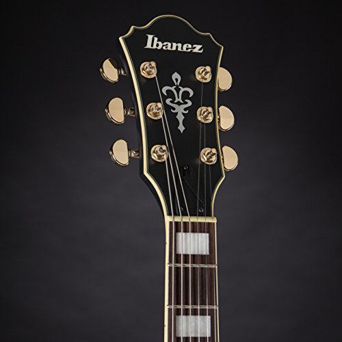 Ibanez Artcore Series Hollowbody Electric Guitar Flat Black