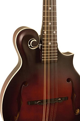 The Loar LM-310F-BRB Honey Creek F-Style Mandolin