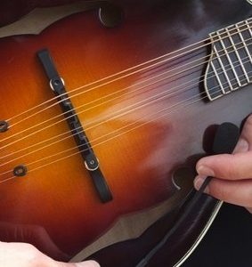 Mandolin Pickup with Flexible Micro-Gooseneck by Myers Pickups - Image 4