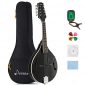 Donner A Style Mandolin Instrument Black Mahogany