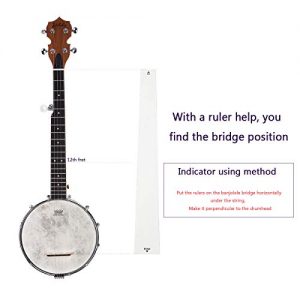 28 Inch Banjo Remo Drumhead Beginner Kit With Gig Bag - Image 5