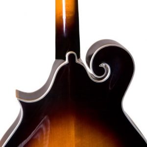 Rover 8 String Mandolin, Right, amber - Image 4