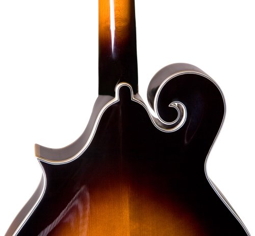 Rover 8 String Mandolin, Right, amber