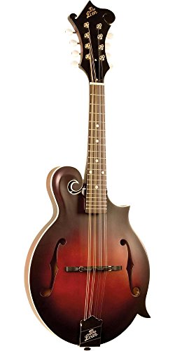 The Loar LM-310F-BRB Honey Creek F-Style Mandolin