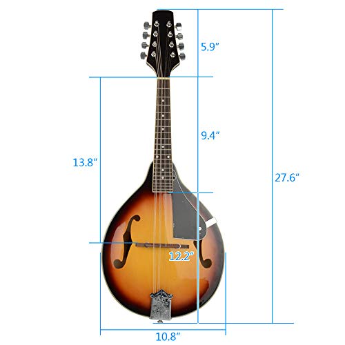 Elegant Mandolin Rosewood with Guard Board Sunset