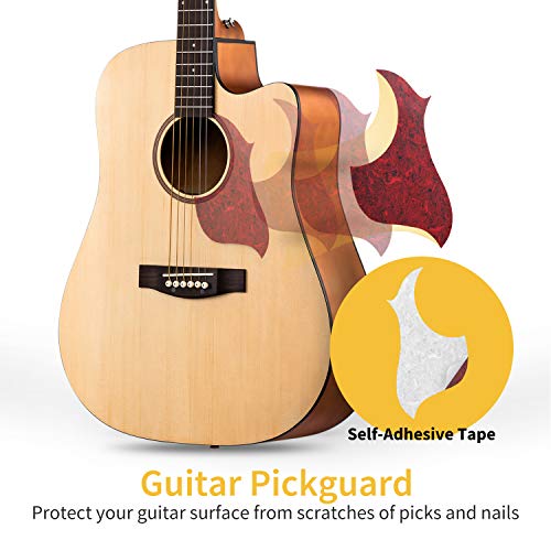 Donner Beginner Acoustic Guitar Full Size