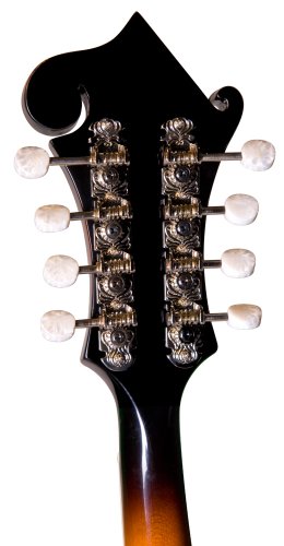 Rover 8 String Mandolin, Right, amber